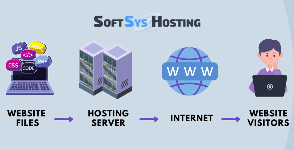 What is Web Hosting